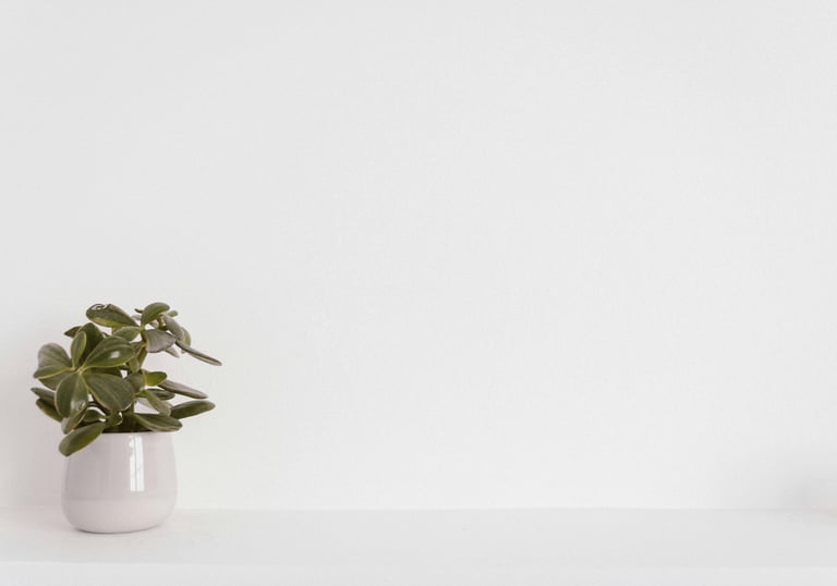 Soluciones al problema de las paredes húmedas