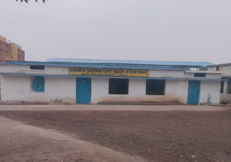 Primary school mudpar