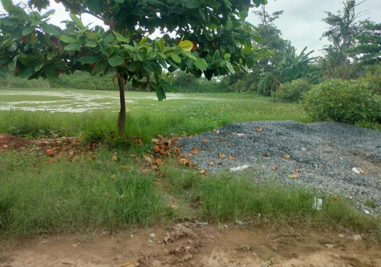 Gadhiya Talab