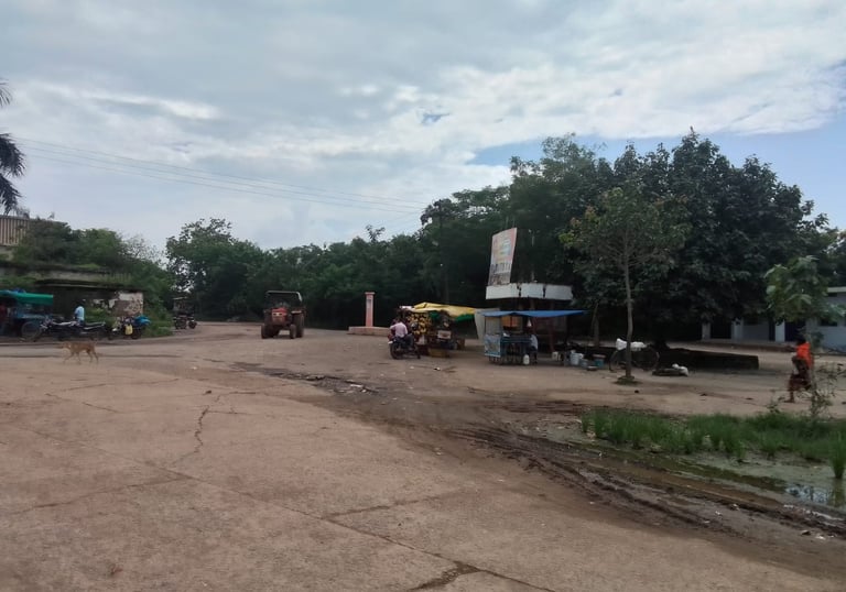 pota bazaar