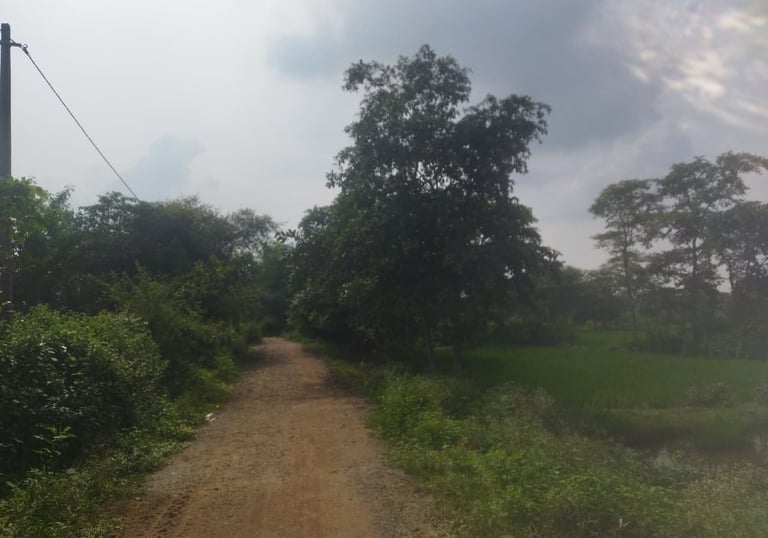c.c. road