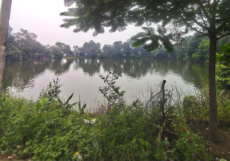 pond