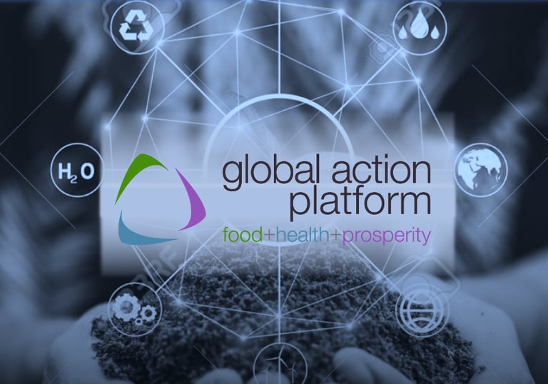 Literacy & Language Institute - Global Action Platform