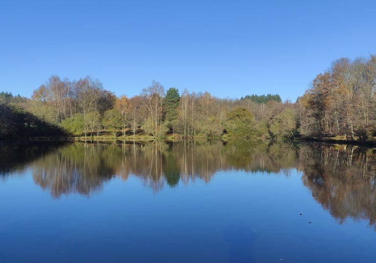 Compton's Lake