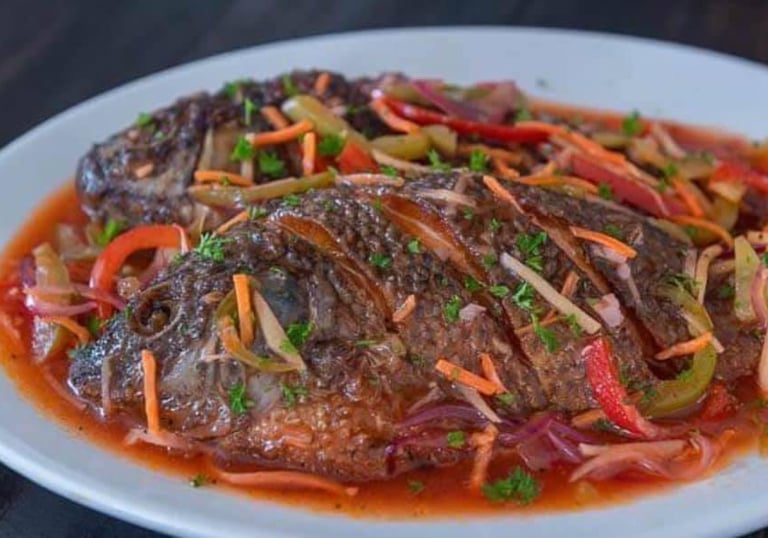 tilapia