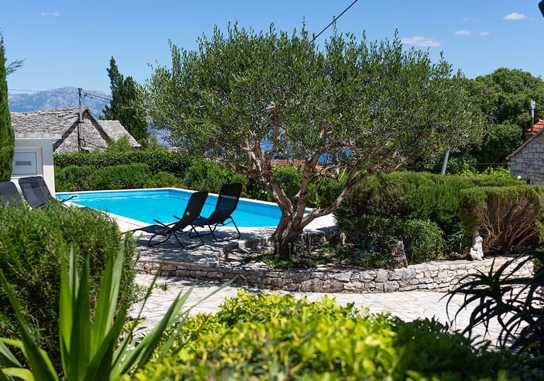 Private pool surrounded by olive trees in the beautiful Mediterranean setting of Villa Nika in Škrip