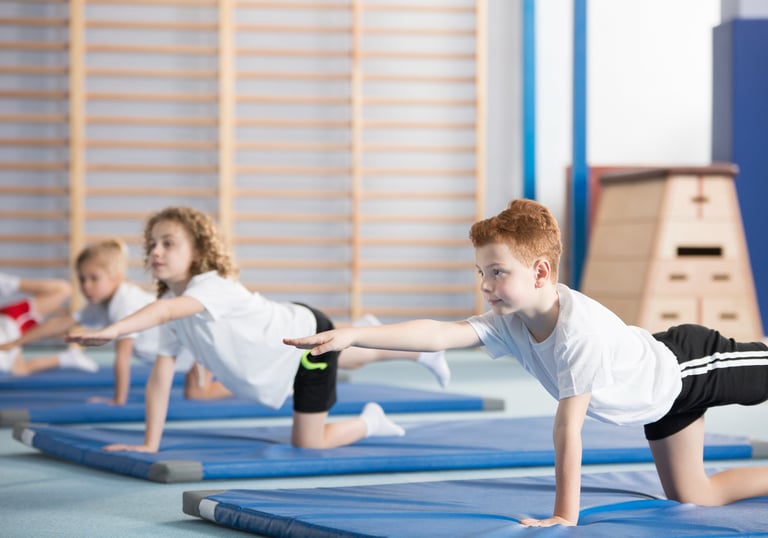 Dječji fitness program u teretani Fitness You Galižana