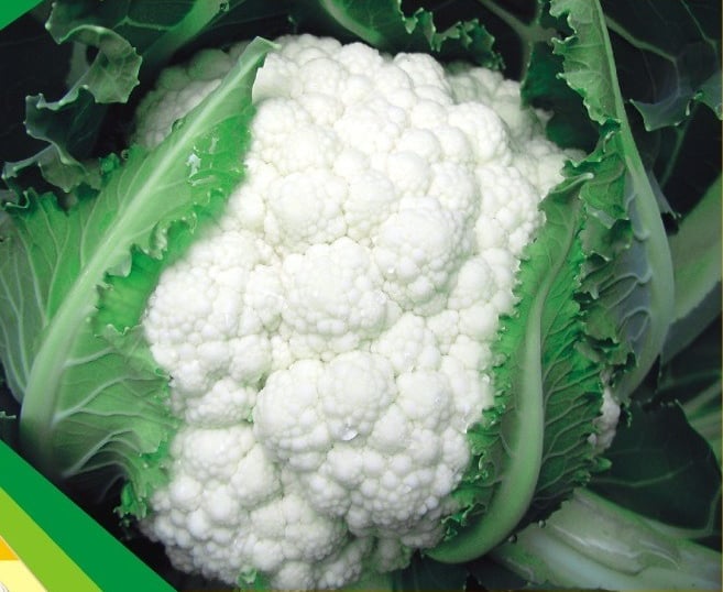 Fresh white cauliflower head with vibrant green leaves, ideal for healthy vegetable recipes.