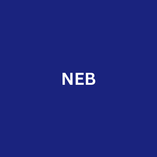 a blue and white logo with the word neb