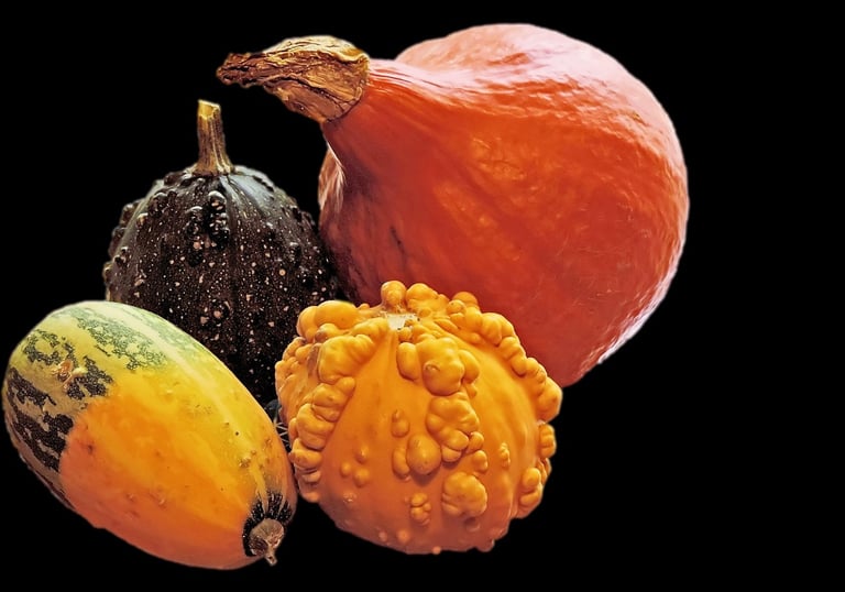 Qi Nourishing Foods