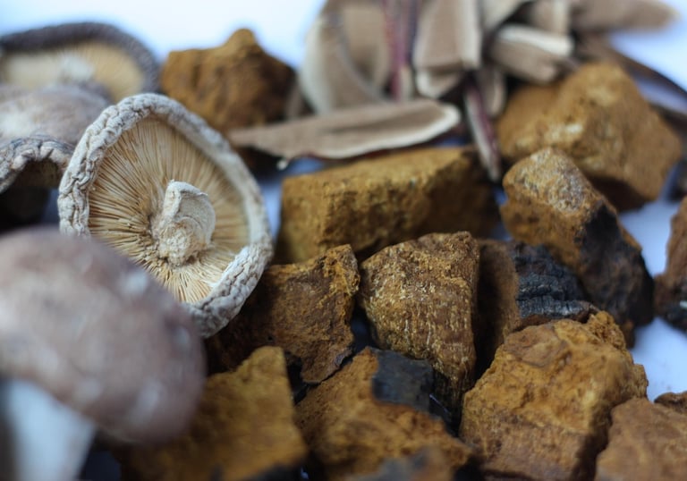 benefits of functional fungi