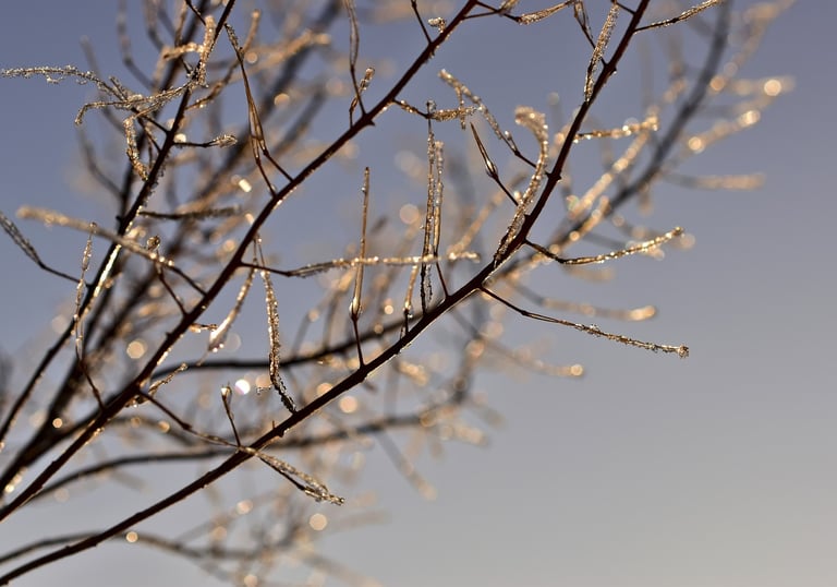 Li Dong - Beginning of Winter