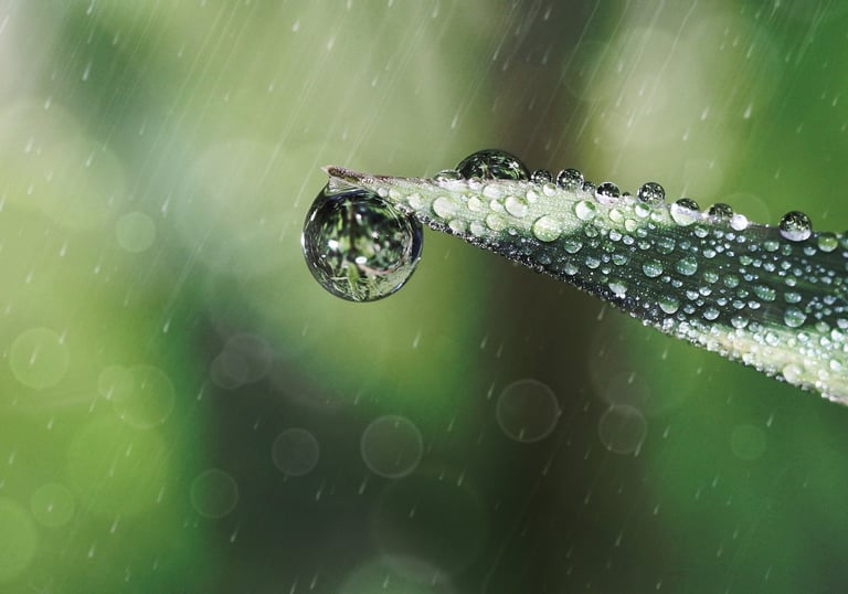 Yu Shui - Rain Water