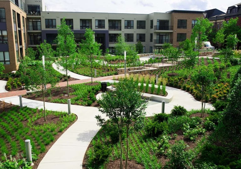 lawn grass suppliers in Vijayawada, lawn grass suppliers Vijayawada