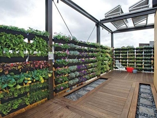 lawn grass gardening in Hyderabad