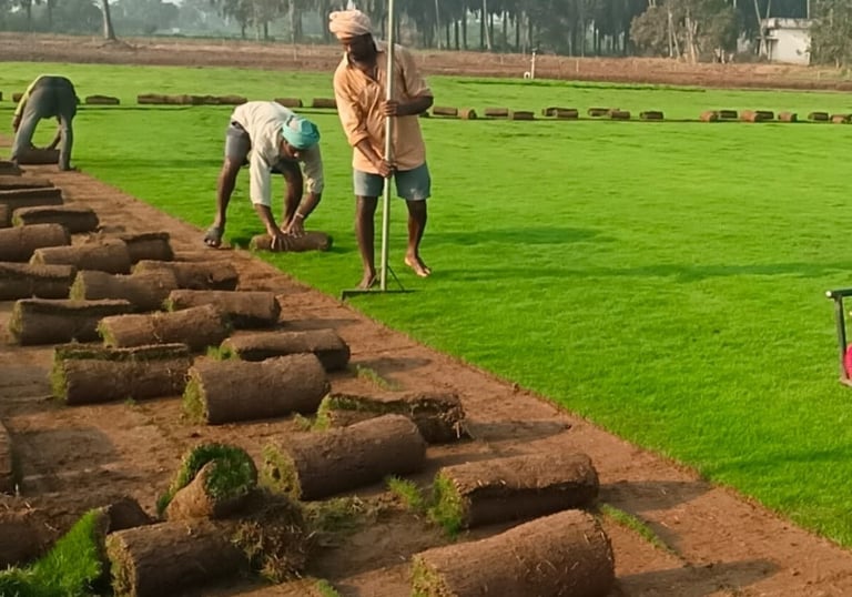 landscaping services in Rajahmundry