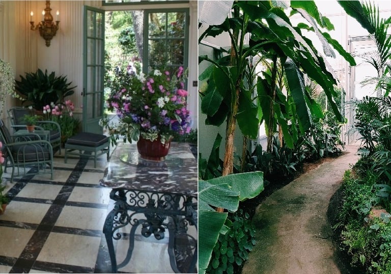 landscaping services in Visakhapatnam