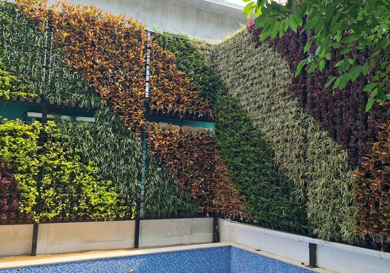 lawn grass suppliers in Rajahmundry, lawn grass suppliers Rajahmundry