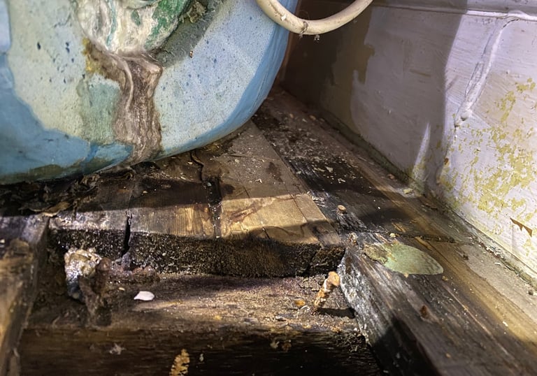 Leaking hot water cylinder from the immersion heater