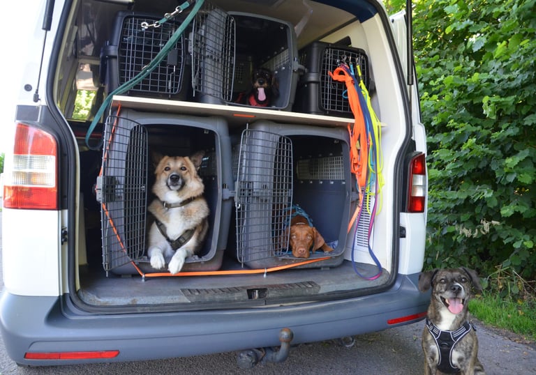 Dogz Erding Gassi-Service
