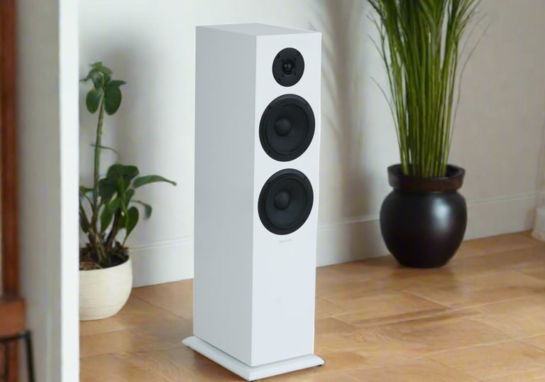 Floor Standing Speakers
