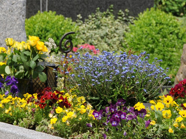 Grafzorg Memoriam verzorgt groen onderhoud op graven in het noorden en heel Nederland. 