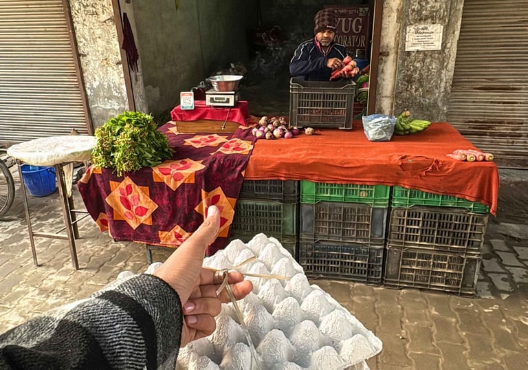 Panipat organica daily customer