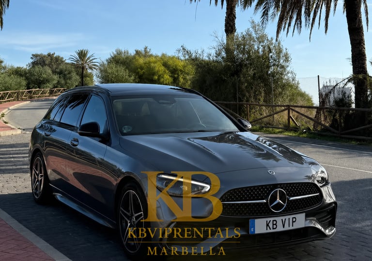 Luxury grey Mercedes-Benz station wagon parked on a sunny Marbella street with palm trees.
