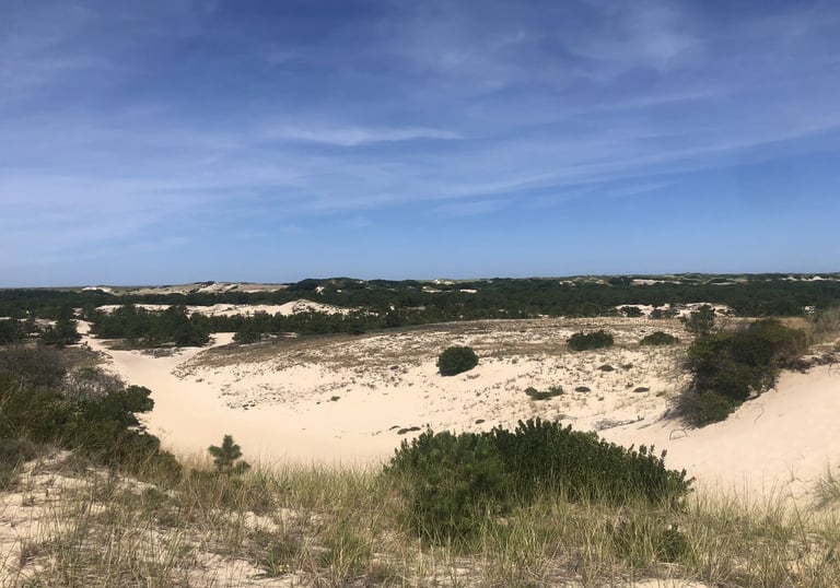 Cape Cod Outer Cape beach with dunes, ocean waves, and coastal grasses along a natural walking trail