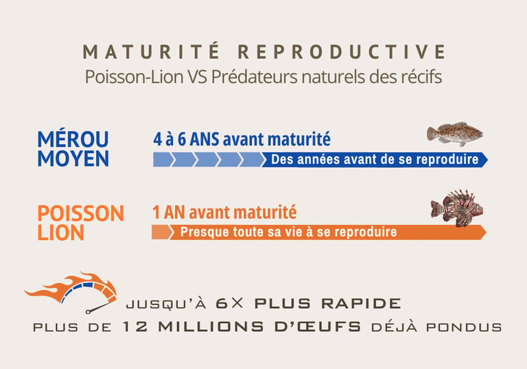 Un poisson aura produit plusieurs millions d'oeufs avant la maturité de prédateurs indigènes