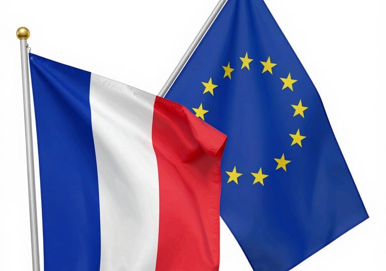 Close-up of a hand holding a wooden toy with a French flag sticker.