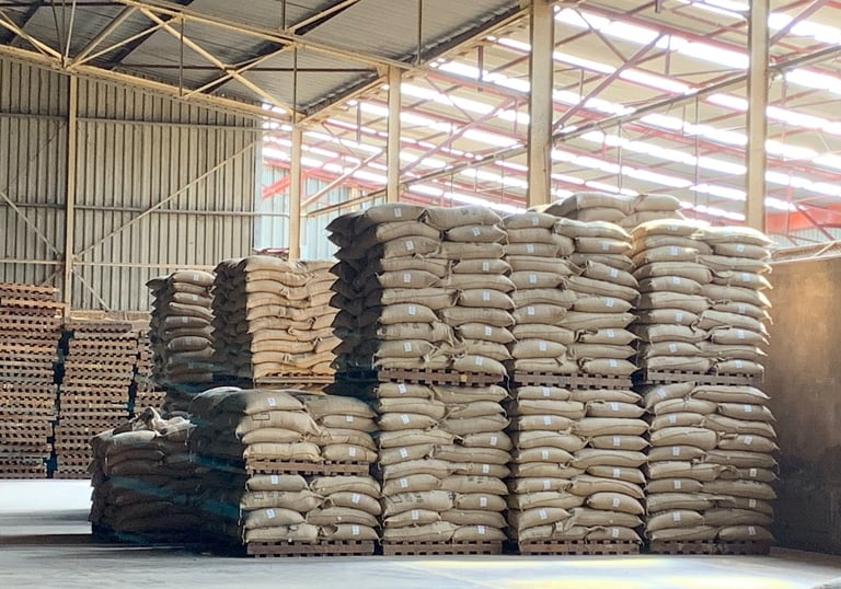 Import café trading arabica Afrique