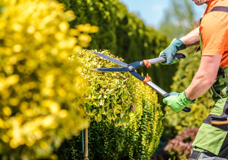 Elite Maintenance Landscaping