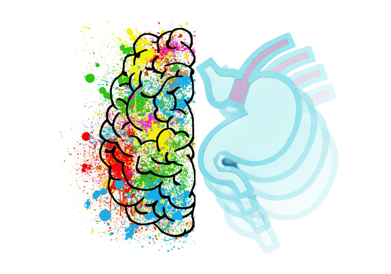 a brain map of a brain with a brain map of the brain
