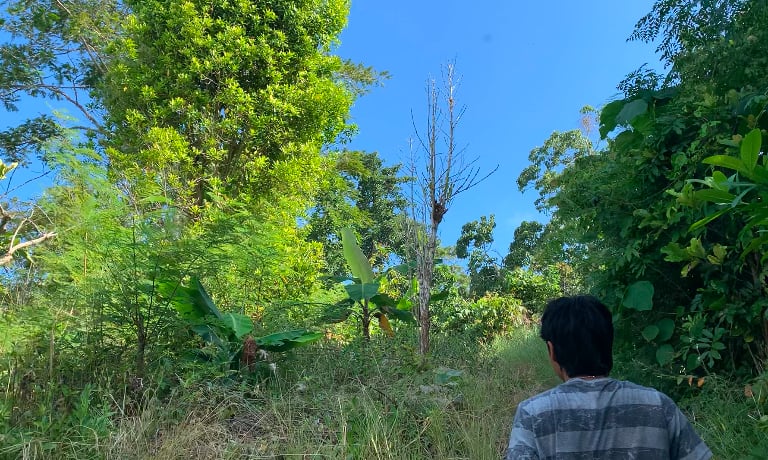 Private Spice Consultant | Indieast