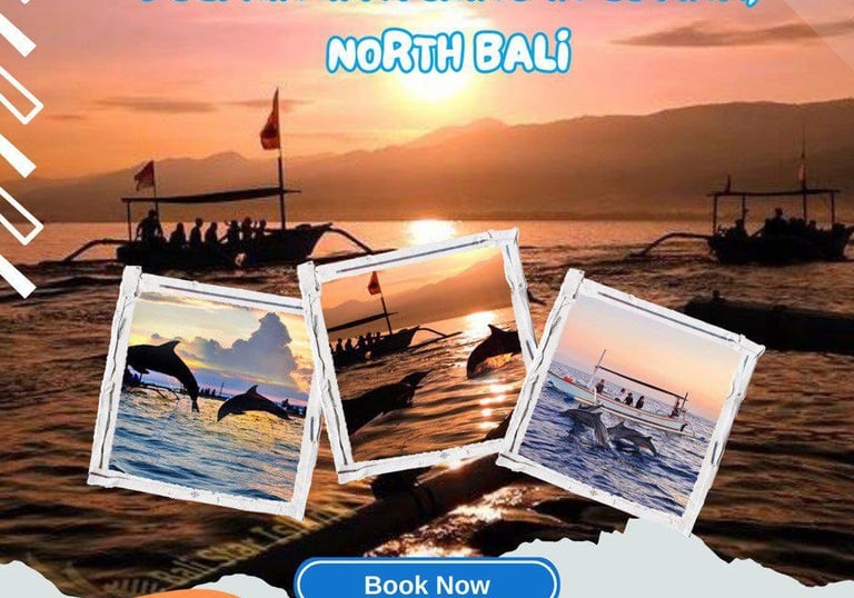 a poster advertising a dolphin watching the sunset At Lovina by Sunrise dive bali