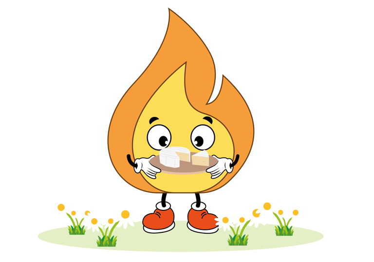 Logo MaxThomasBois - Trouver du bois de chauffage en Normandie avec MaxthomasBois