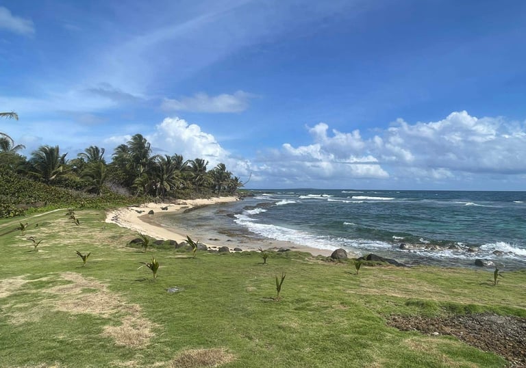 Long private beach walks