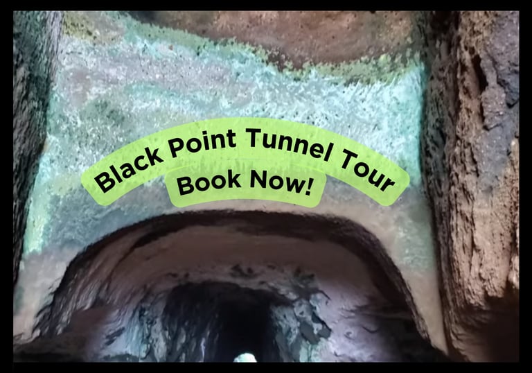 Black Point Tunnel Tour with Trupp Taxi Tours SVG