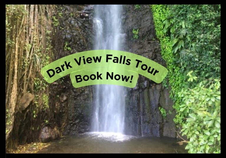Dark View Falls Tour with Trubb Taxi Tours SVG
