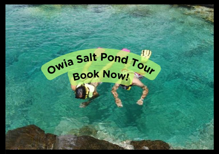 Owia Salt Pond Tour with Trubb Taxi Tours SVG