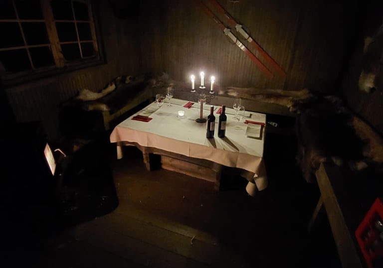 Un dîner dans la forêt en Laponie