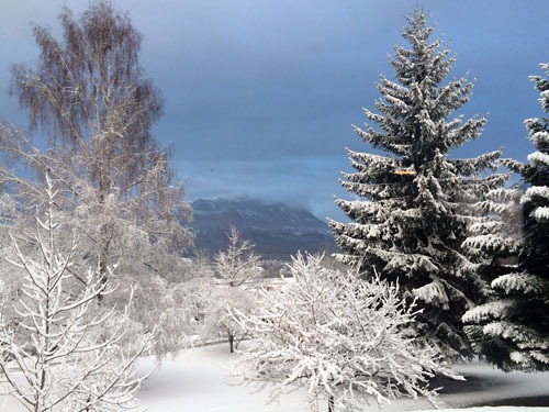 La chambre studio des Gardannes dans un beau cadre naturel avec vue sur les montagnes