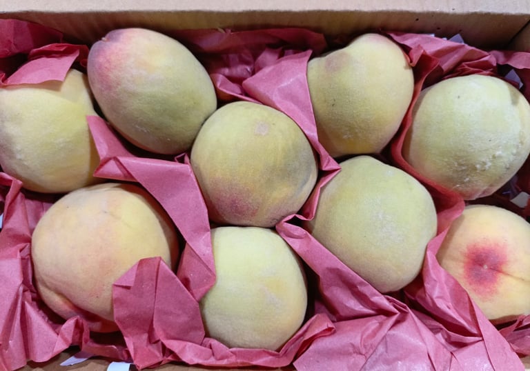 fresh peach available in qatar