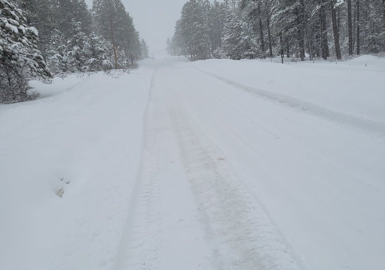 Large snow fall on a road