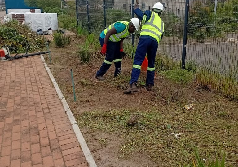 garden services 