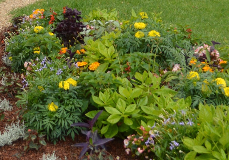 Création de massifs à Soisy-sur-Seine et aux alentours.