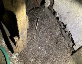Vermiculite Insulation coming out of a broken wall