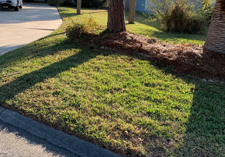 Clean cut yard and edges