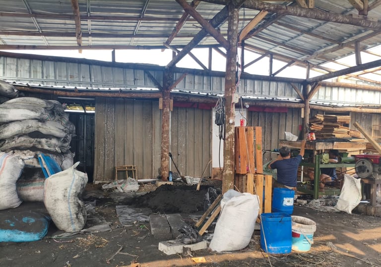 wholesale coconut shell charcoal from indonesia